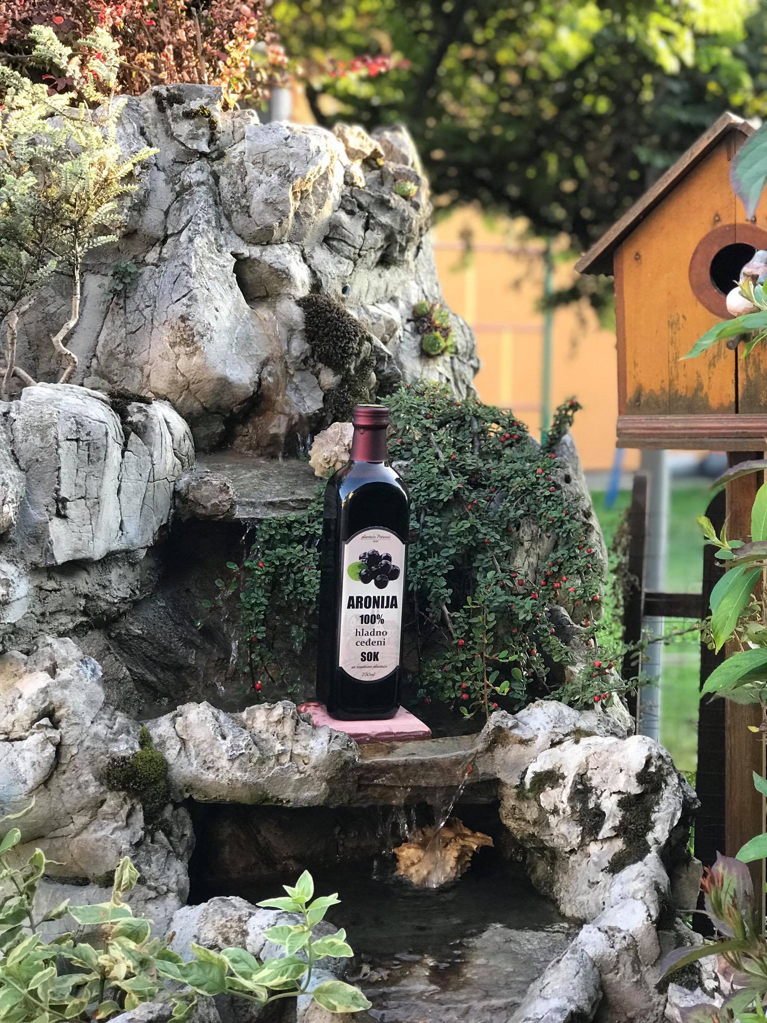 Matični sok od aronije 750ml